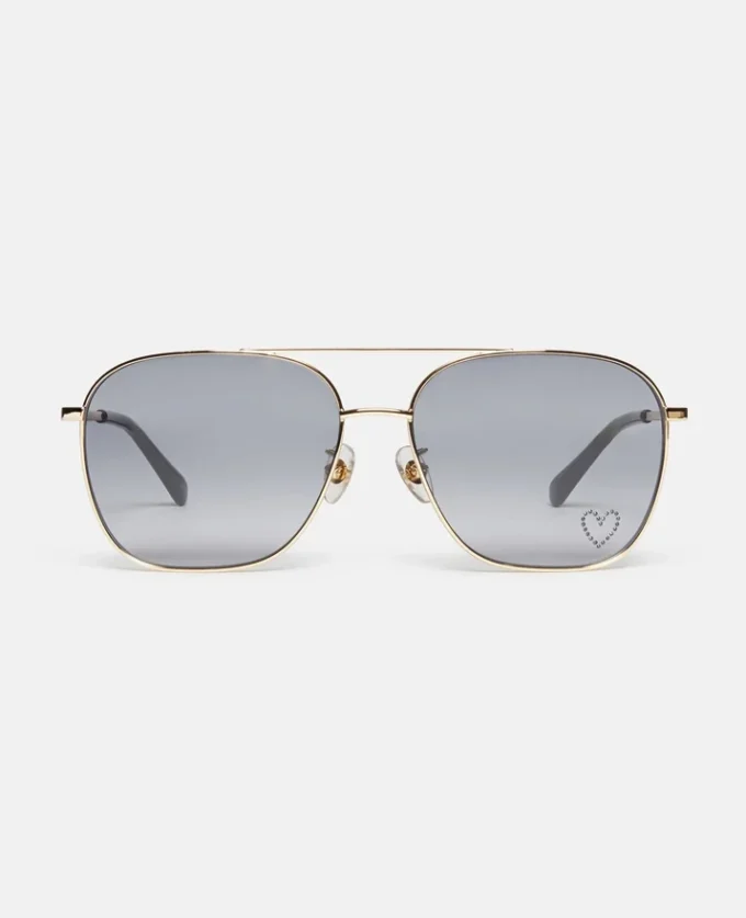 Aviator Sunglasses Aviator Sunglasses