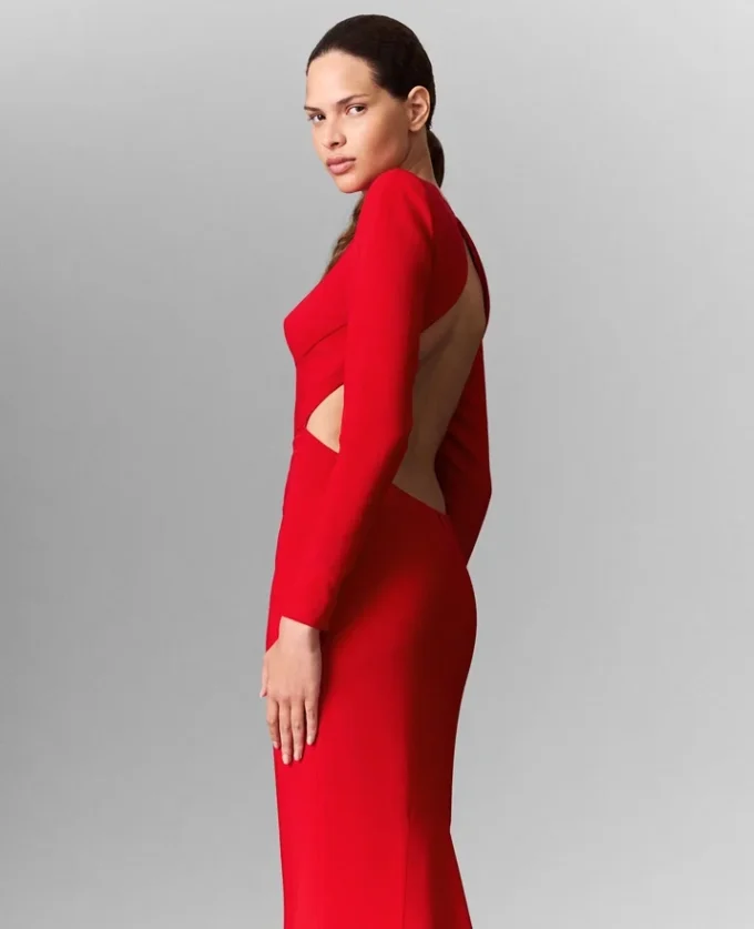 Backless Long-Sleeve Floor-Length Dress Backless Long-Sleeve Floor-Length Dress