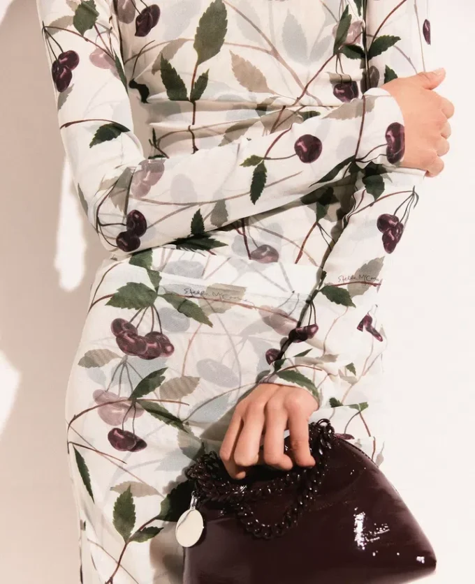 Cherry Print Mesh Long Sleeve Top Cherry Print Mesh Long Sleeve Top