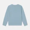 Fairy Graphic Crewneck Sweatshirt Fairy Graphic Crewneck Sweatshirt