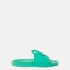 Frog Graphic Slides Frog Graphic Slides