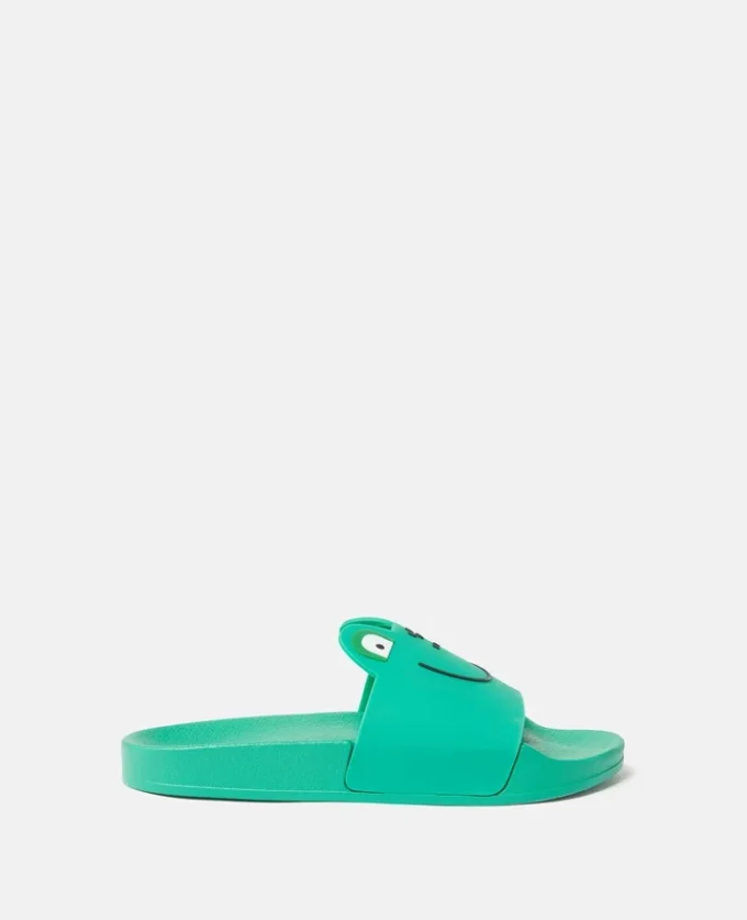Frog Graphic Slides Frog Graphic Slides