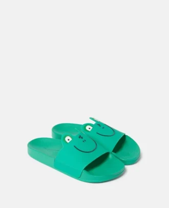Frog Graphic Slides