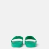 Frog Graphic Slides Frog Graphic Slides
