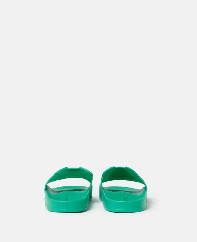 Frog Graphic Slides Frog Graphic Slides