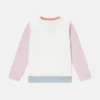 Logo Graphic Embroidered Sweatshirt Logo Graphic Embroidered Sweatshirt