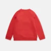 Polar Bear Fleece Sweatshirt Polar Bear Fleece Sweatshirt