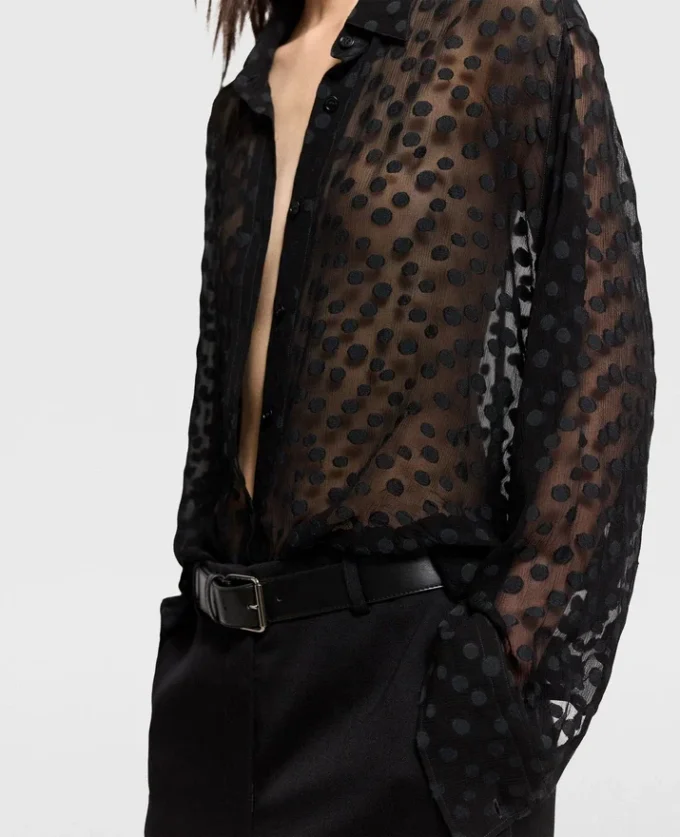 Sheer Polka Dot Chiffon Shirt Sheer Polka Dot Chiffon Shirt