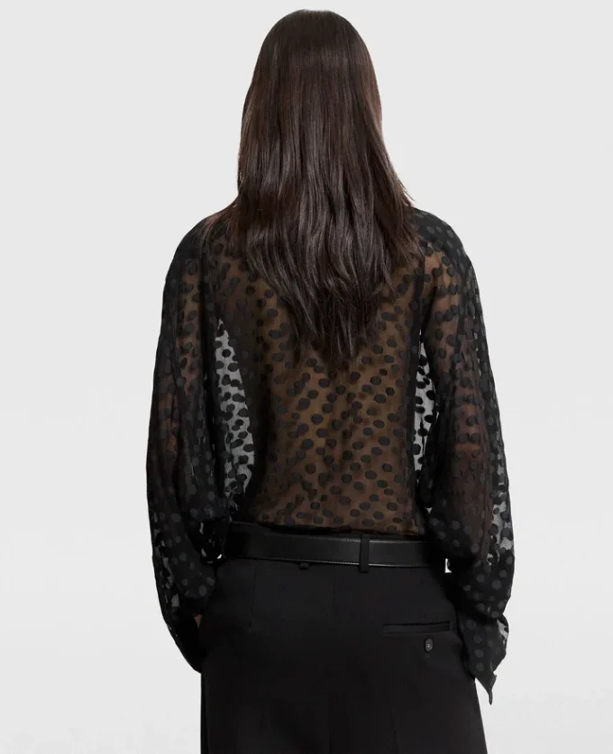 Sheer Polka Dot Chiffon Shirt Sheer Polka Dot Chiffon Shirt