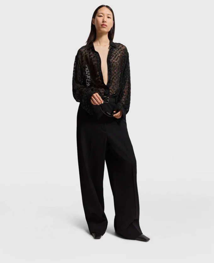Sheer Polka Dot Chiffon Shirt Sheer Polka Dot Chiffon Shirt