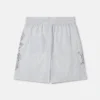 SpongeBob Graphic Shorts SpongeBob Graphic Shorts