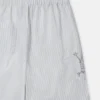SpongeBob Graphic Shorts SpongeBob Graphic Shorts