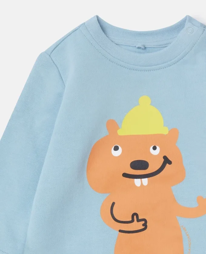 Squirrel Graphic Crewneck Sweatshirt Squirrel Graphic Crewneck Sweatshirt