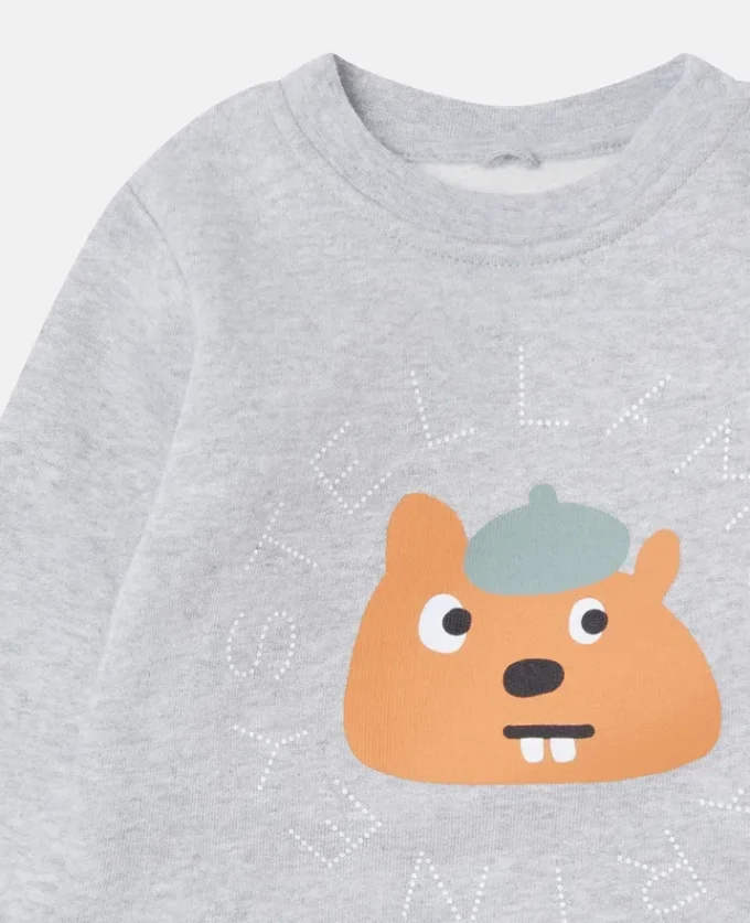 Squirrel Graphic Crewneck Sweatshirt Squirrel Graphic Crewneck Sweatshirt