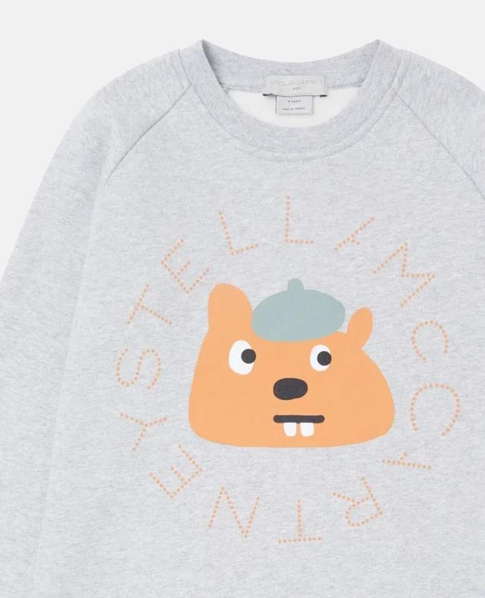 Squirrel Graphic Crewneck Sweatshirt Squirrel Graphic Crewneck Sweatshirt