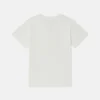 Squirrel Graphic T-Shirt Squirrel Graphic T-Shirt
