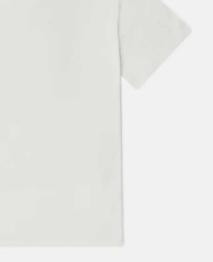 Squirrel Graphic T-Shirt Squirrel Graphic T-Shirt