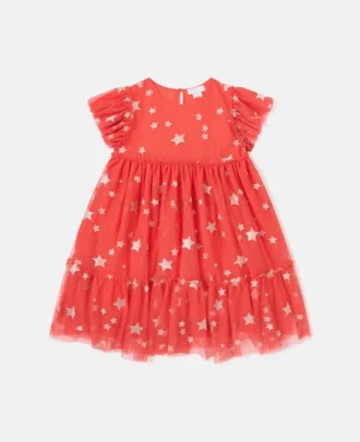 Star-Embroidered Tulle Dress