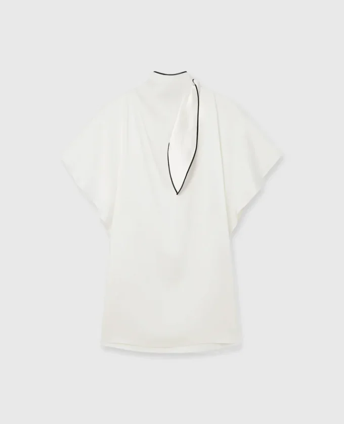 Tie Neck Mini Dress